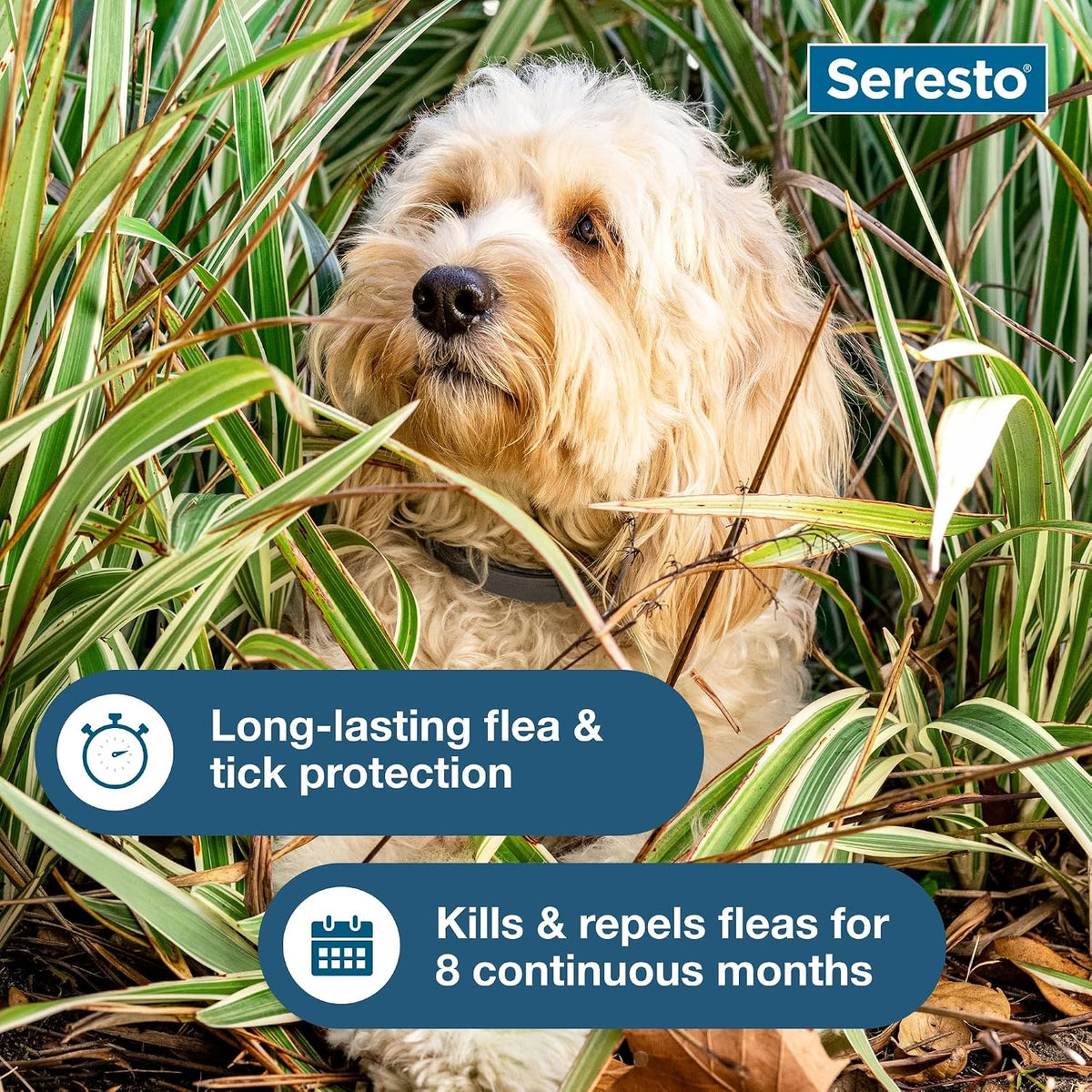 Small Dog Vet-Recommended Flea & Tick Treatment & Prevention Collar for Dogs Under 18 lbs. | 8 Months Protection